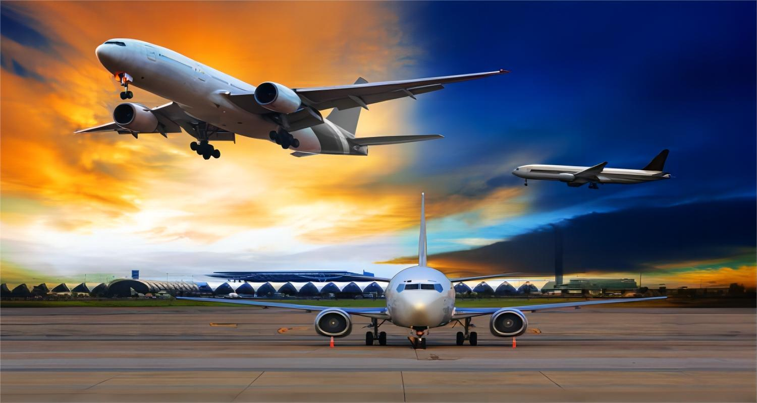 Logistics professional checking customs documentation