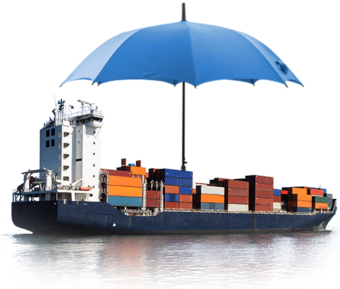 professional freight forwarding service