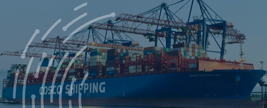 DDP shipping transit time